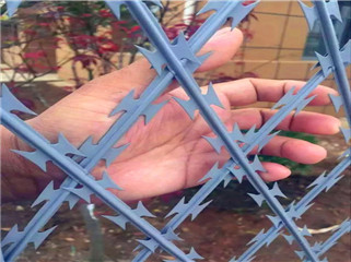 刀片刺網(wǎng)監(jiān)獄防護(hù)網(wǎng)