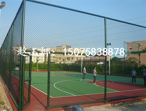 學(xué)?；@球場圍網(wǎng)