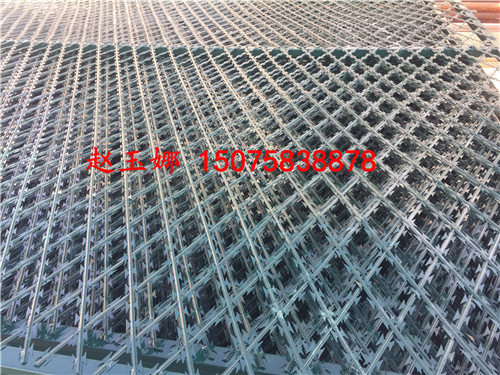 安平監(jiān)獄刀刺隔離網(wǎng)廠家